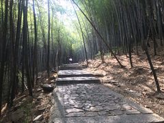 -穹窿山景区