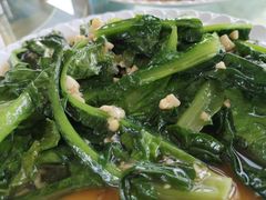 -七鲜渔港美食餐厅(巽寮湾海景店)