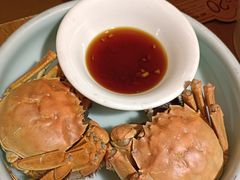 -新白鹿餐厅(龙游路店)