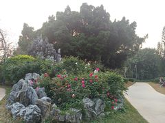 -人民公园(罗湖区)