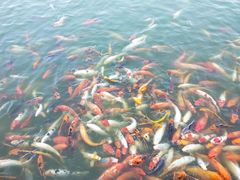 -北戴河圣蓝海洋公园