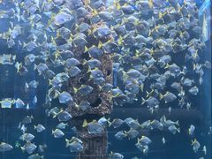 -厦门海底世界