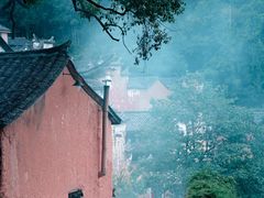 -杨家堂村