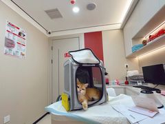 -御宝贝24h宠物医院·转诊中心·CT核磁血透中心(厦门总院)