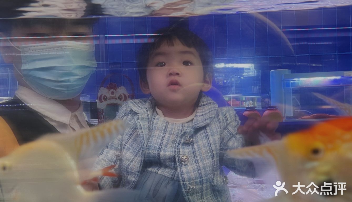 美林有个鱼世界