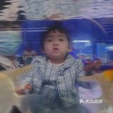 美林有个鱼世界