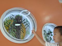 -上海儿童博物馆