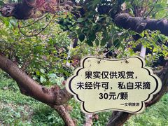 -青青世界