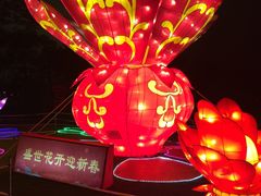 -万绿园