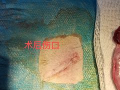 -咕噜咕噜宠物医院·CT·肿瘤科·骨科(前海院)