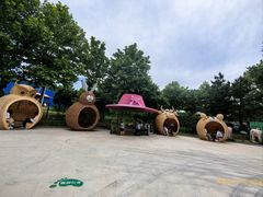 -西霞口神雕山野生动物世界