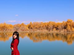 -金塔沙漠胡杨林景区