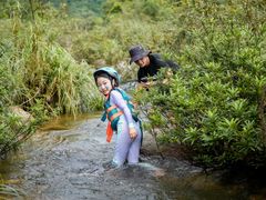-海南热带雨林国家公园吊罗山景区