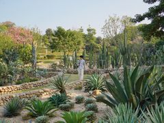 -东莞植物园