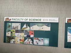 -香港大学