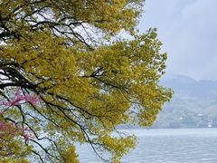 -严子陵钓台(富春江小三峡)