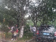 -东莞植物园