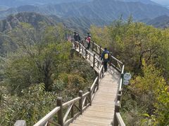 -大岭沟猕猴桃谷风景区