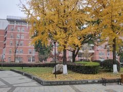 -四川大学(望江校区)