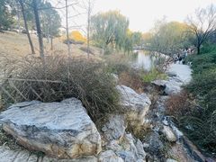 -北京西山国家森林公园