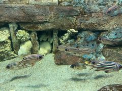 -合肥海洋世界