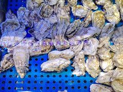 -前王院•巧克力海鲜市集餐厅(万平口店)