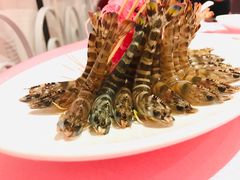 斑节虾-行家海鲜火锅酒家(静安寺店)