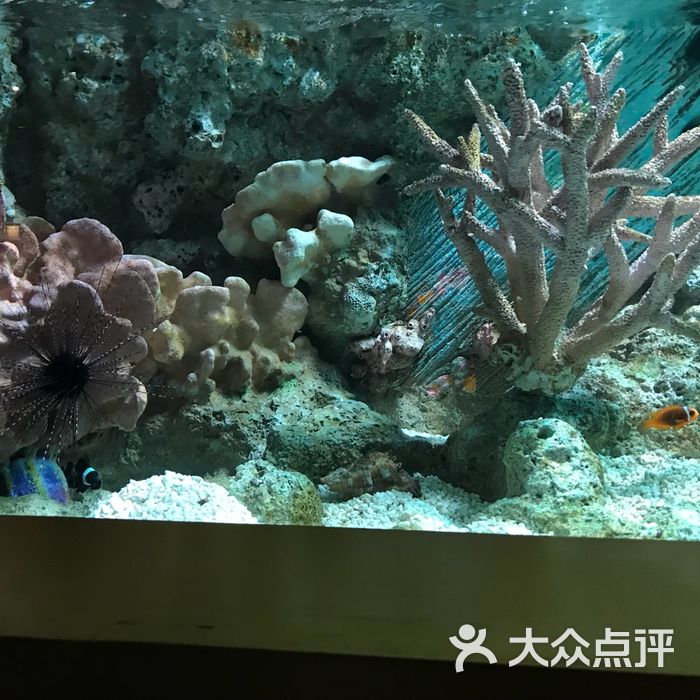 上海長風海洋世界