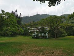 -青青世界