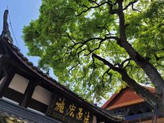 -中国观音故里广德景区