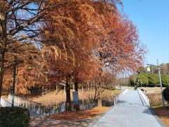 -同里国家湿地公园