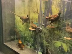 -下渚湖国家湿地公园科普馆