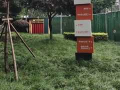 -神仙树公园