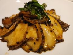 烧椒鲍片-西郊5号·Maggie 5