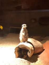 -酷嗒动物文化乐园(cutezoo西溪乐天城店)