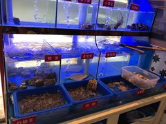 -小龍鳳·港式海鲜打边炉(沙湖路店)