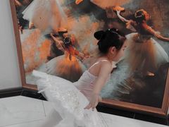 -中央芭蕾舞团·中芭艺蕾(酒仙桥明星校区)