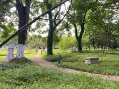-花溪公园