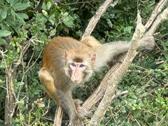 -重庆云阳龙缸景区