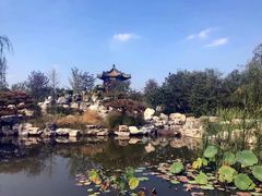 -武清南湖绿博园