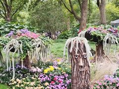 -共青国家森林公园-售票处