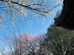 -北海公园