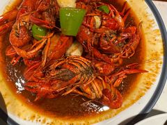 -杨氏青龙虾·羊蝎子(珠江路店)