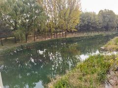 -大望京公园