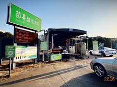 -苗喜智能洗车(顾戴路店)