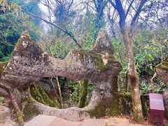 -山王坪喀斯特国家生态公园