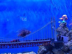 -太平洋海底世界