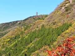 -北京十三陵国家森林公园蟒山景区