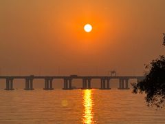 -宝安西湾红树林湿地公园