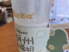 -猫的魔法密林(衣裳街店)
